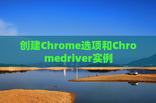 创建Chrome选项和Chromedriver实例