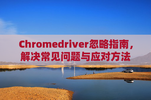Chromedriver忽略指南，解决常见问题与应对方法